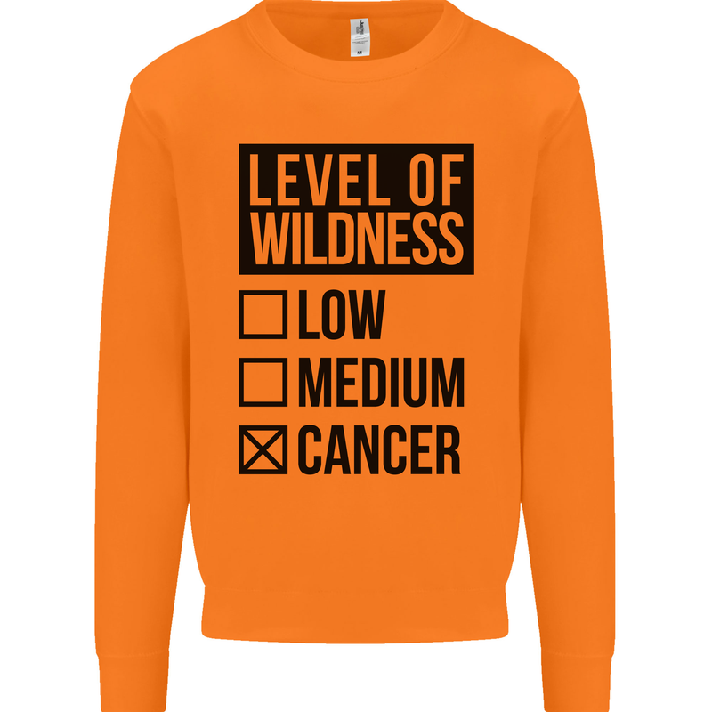 Levels of Wildness Cancer Mens Sweatshirt Jumper Orange