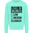 Levels of Wildness Cancer Mens Sweatshirt Jumper Peppermint