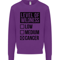 Levels of Wildness Cancer Mens Sweatshirt Jumper Purple