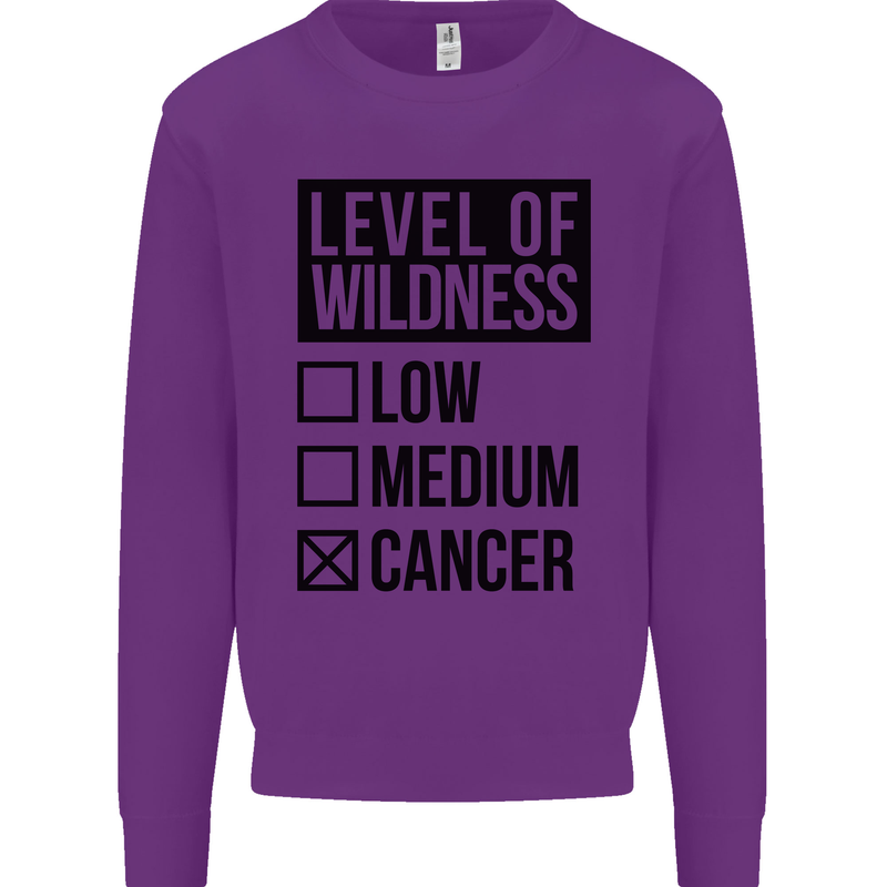 Levels of Wildness Cancer Mens Sweatshirt Jumper Purple