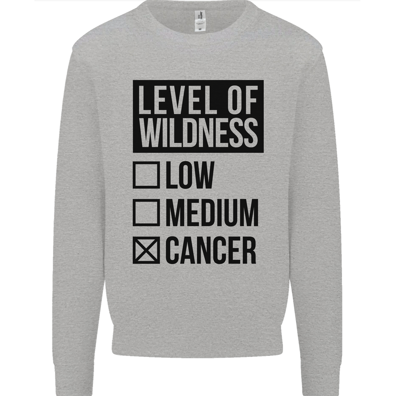 Levels of Wildness Cancer Mens Sweatshirt Jumper Sports Grey