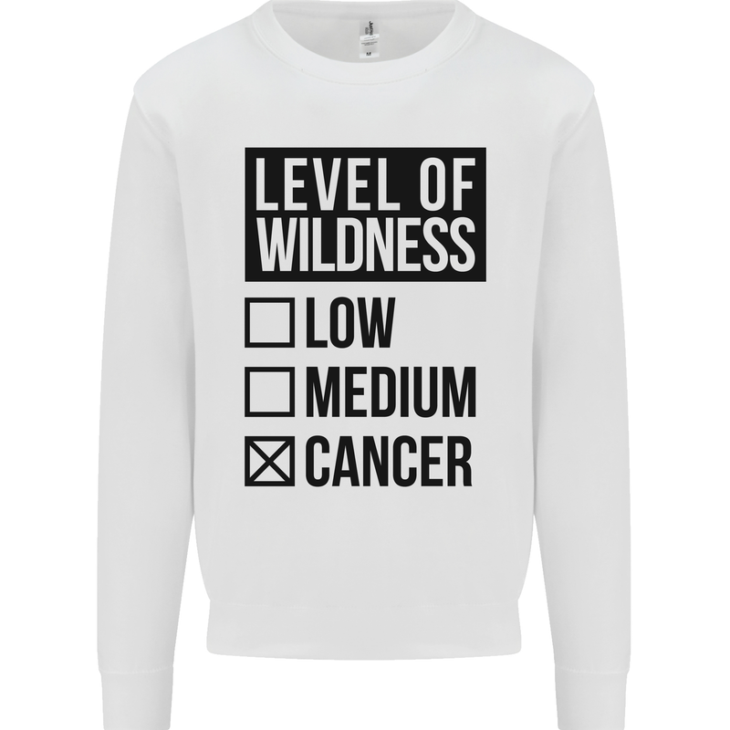 Levels of Wildness Cancer Mens Sweatshirt Jumper White