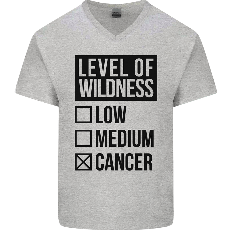 Levels of Wildness Cancer Mens V-Neck Cotton T-Shirt Sports Grey