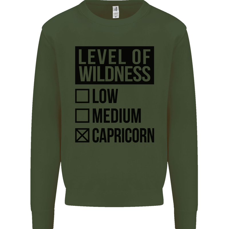 Levels of Wildness Capricorn Kids Sweatshirt Jumper Forest Green