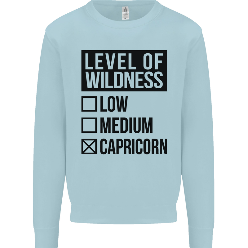 Levels of Wildness Capricorn Kids Sweatshirt Jumper Light Blue