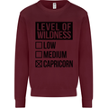 Levels of Wildness Capricorn Kids Sweatshirt Jumper Maroon