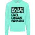 Levels of Wildness Capricorn Kids Sweatshirt Jumper Peppermint