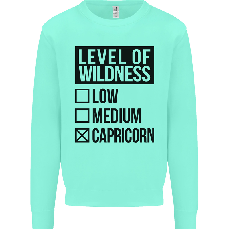 Levels of Wildness Capricorn Kids Sweatshirt Jumper Peppermint