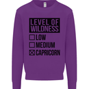 Levels of Wildness Capricorn Kids Sweatshirt Jumper Purple