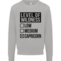 Levels of Wildness Capricorn Kids Sweatshirt Jumper Sports Grey