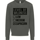 Levels of Wildness Capricorn Kids Sweatshirt Jumper Storm Grey