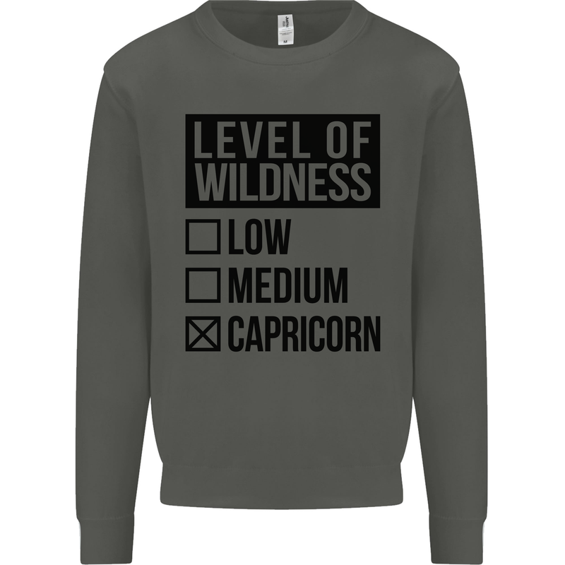Levels of Wildness Capricorn Kids Sweatshirt Jumper Storm Grey