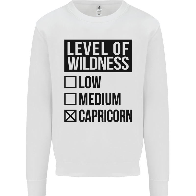 Levels of Wildness Capricorn Kids Sweatshirt Jumper White