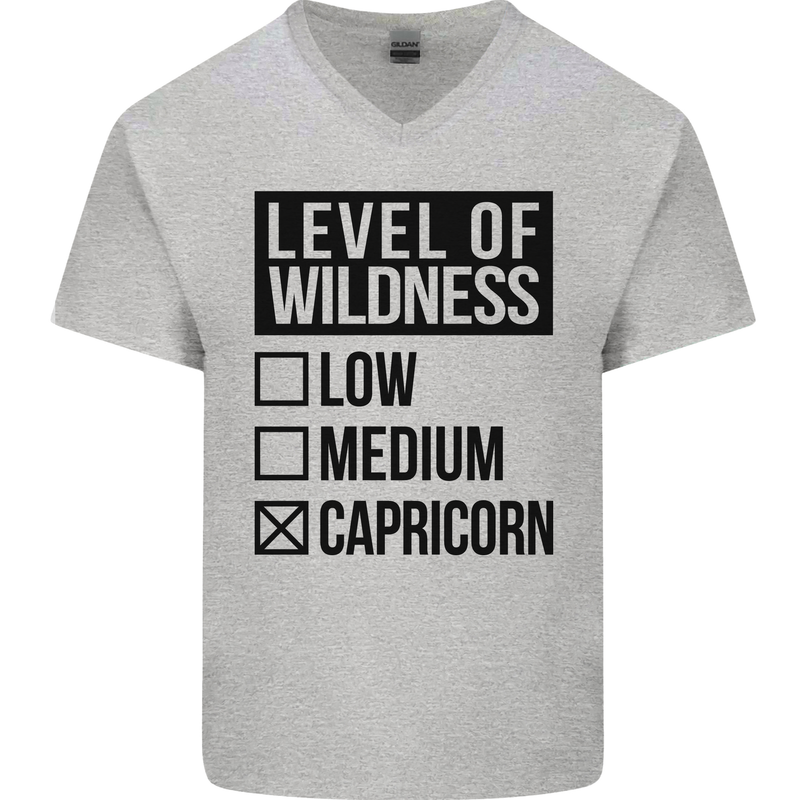 Levels of Wildness Capricorn Mens V-Neck Cotton T-Shirt Sports Grey