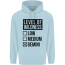 Levels of Wildness Gemini Childrens Kids Hoodie Light Blue