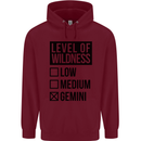 Levels of Wildness Gemini Childrens Kids Hoodie Maroon