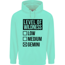 Levels of Wildness Gemini Childrens Kids Hoodie Peppermint