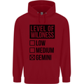 Levels of Wildness Gemini Childrens Kids Hoodie Red