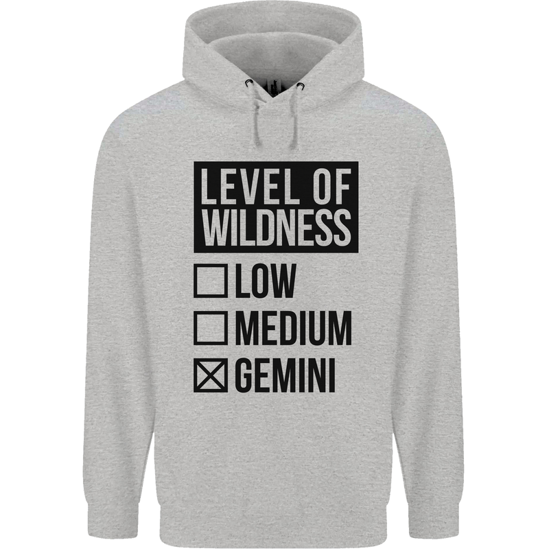 Levels of Wildness Gemini Childrens Kids Hoodie Sports Grey
