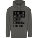 Levels of Wildness Gemini Childrens Kids Hoodie Storm Grey