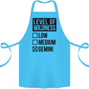 Levels of Wildness Gemini Cotton Apron 100% Organic Turquoise
