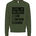 Levels of Wildness Gemini Kids Sweatshirt Jumper Forest Green