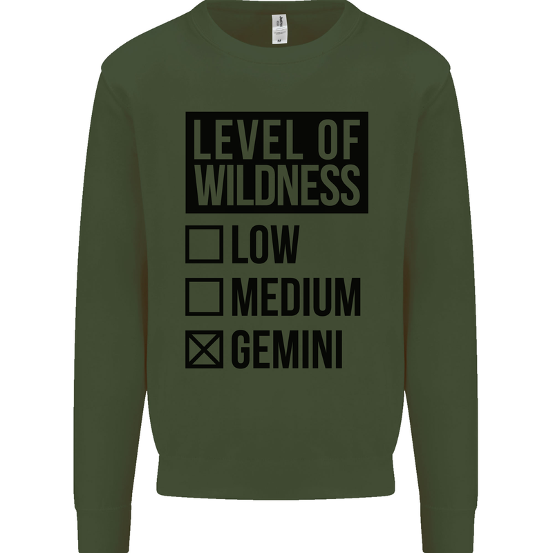 Levels of Wildness Gemini Kids Sweatshirt Jumper Forest Green