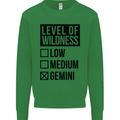 Levels of Wildness Gemini Kids Sweatshirt Jumper Irish Green