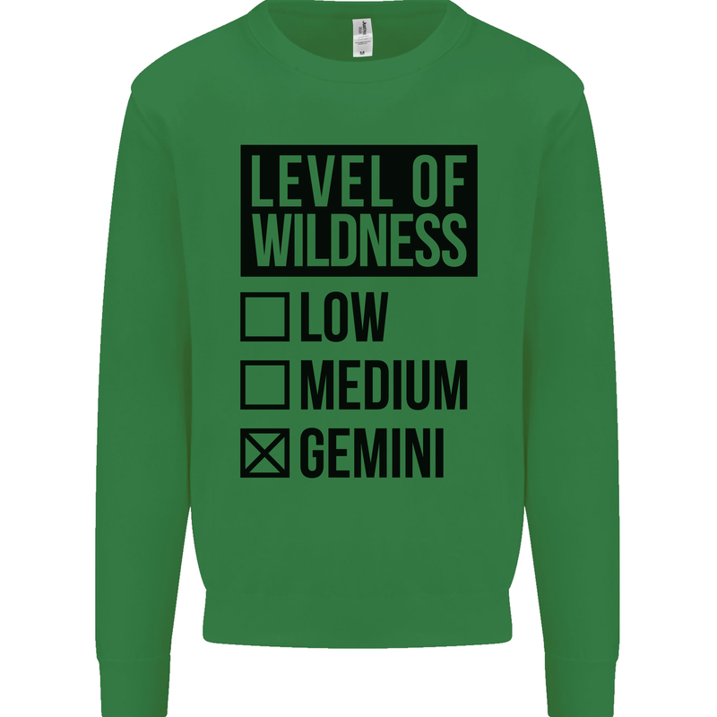Levels of Wildness Gemini Kids Sweatshirt Jumper Irish Green