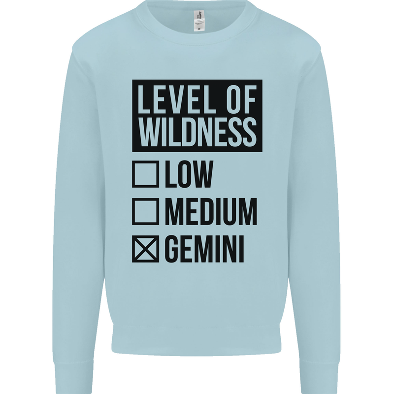 Levels of Wildness Gemini Kids Sweatshirt Jumper Light Blue