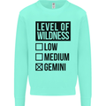 Levels of Wildness Gemini Kids Sweatshirt Jumper Peppermint