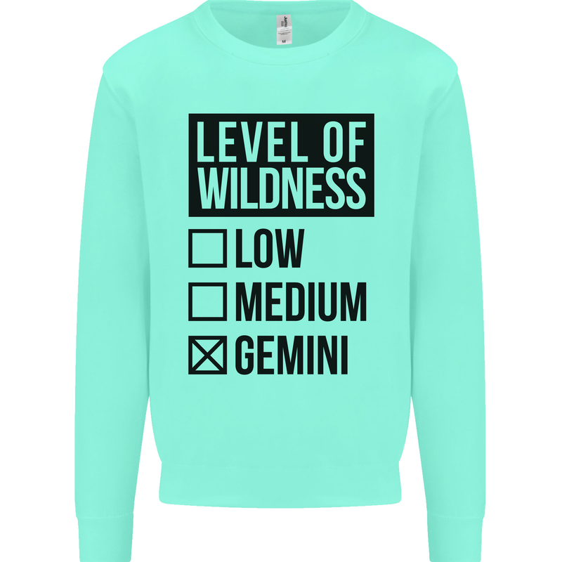 Levels of Wildness Gemini Kids Sweatshirt Jumper Peppermint