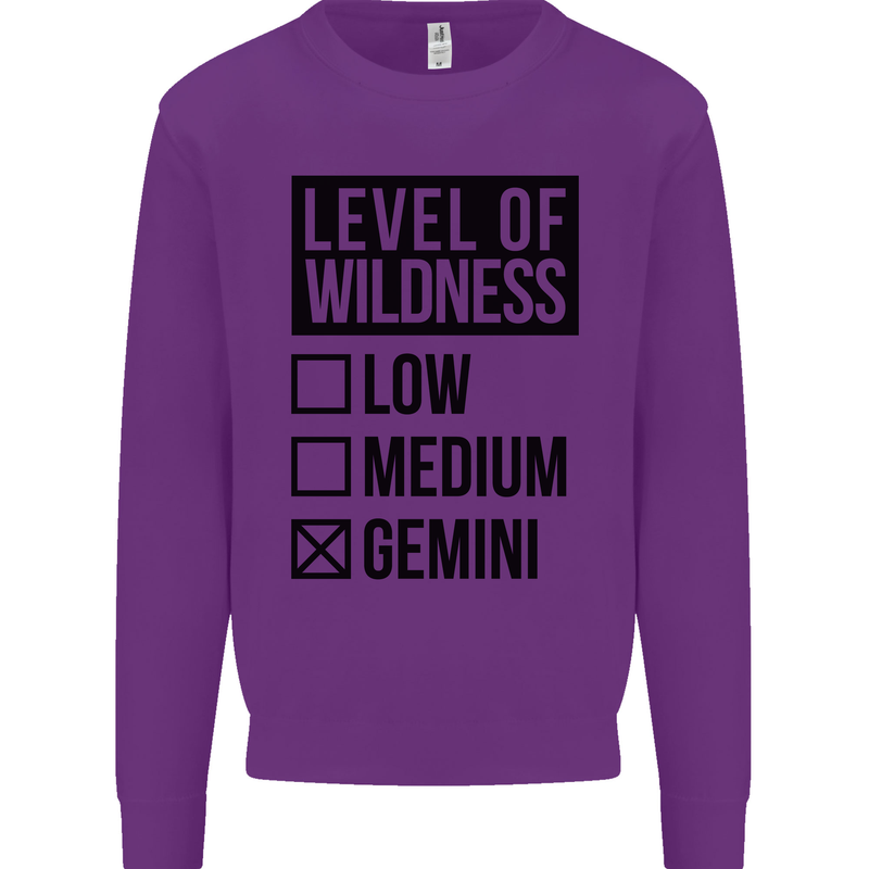 Levels of Wildness Gemini Kids Sweatshirt Jumper Purple