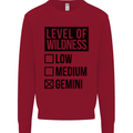 Levels of Wildness Gemini Kids Sweatshirt Jumper Red
