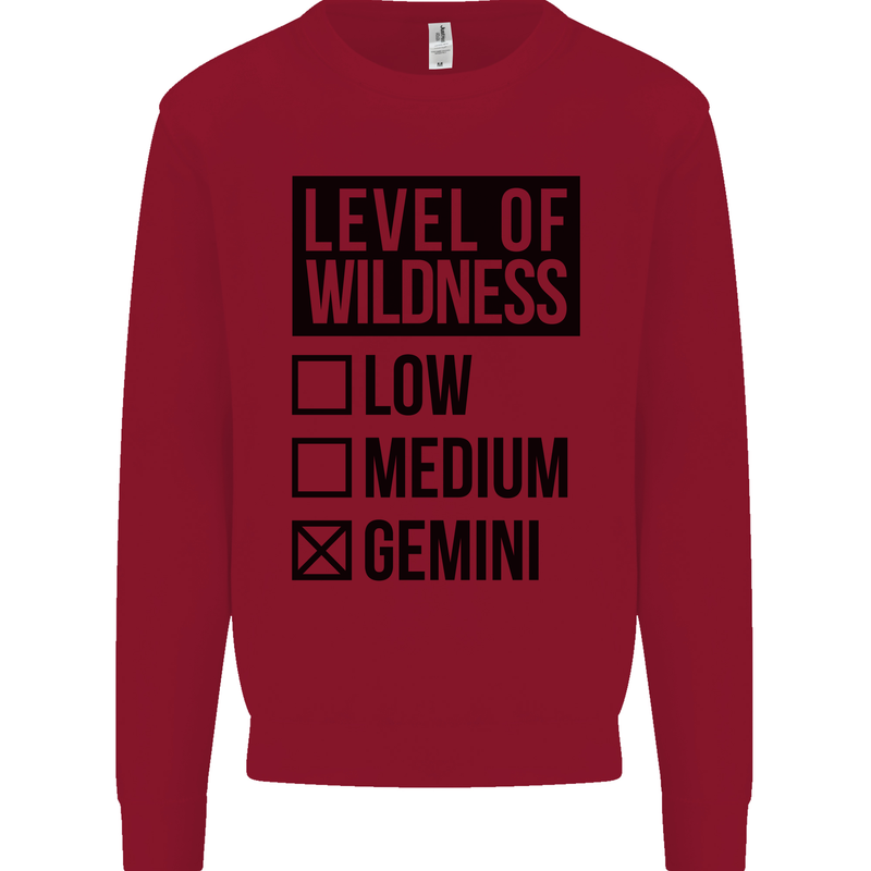 Levels of Wildness Gemini Kids Sweatshirt Jumper Red