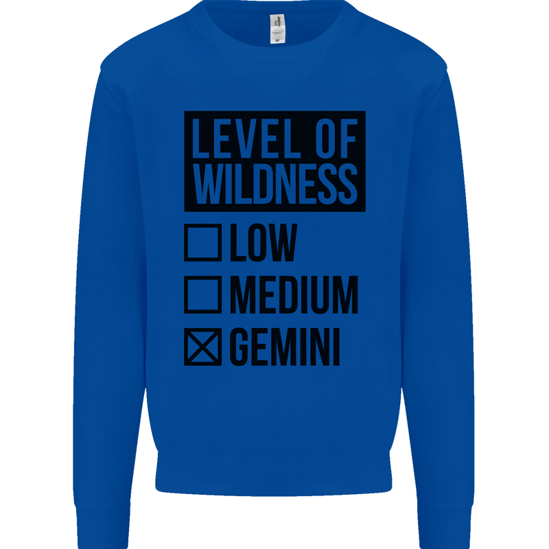 Levels of Wildness Gemini Kids Sweatshirt Jumper Royal Blue
