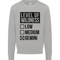 Levels of Wildness Gemini Kids Sweatshirt Jumper Sports Grey