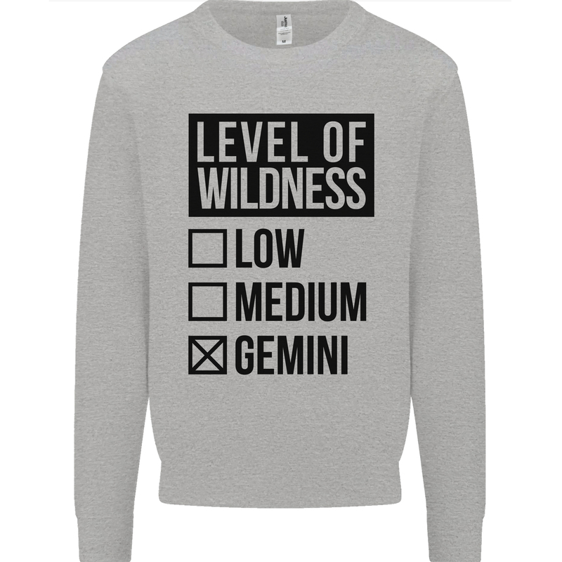 Levels of Wildness Gemini Kids Sweatshirt Jumper Sports Grey
