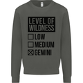 Levels of Wildness Gemini Kids Sweatshirt Jumper Storm Grey