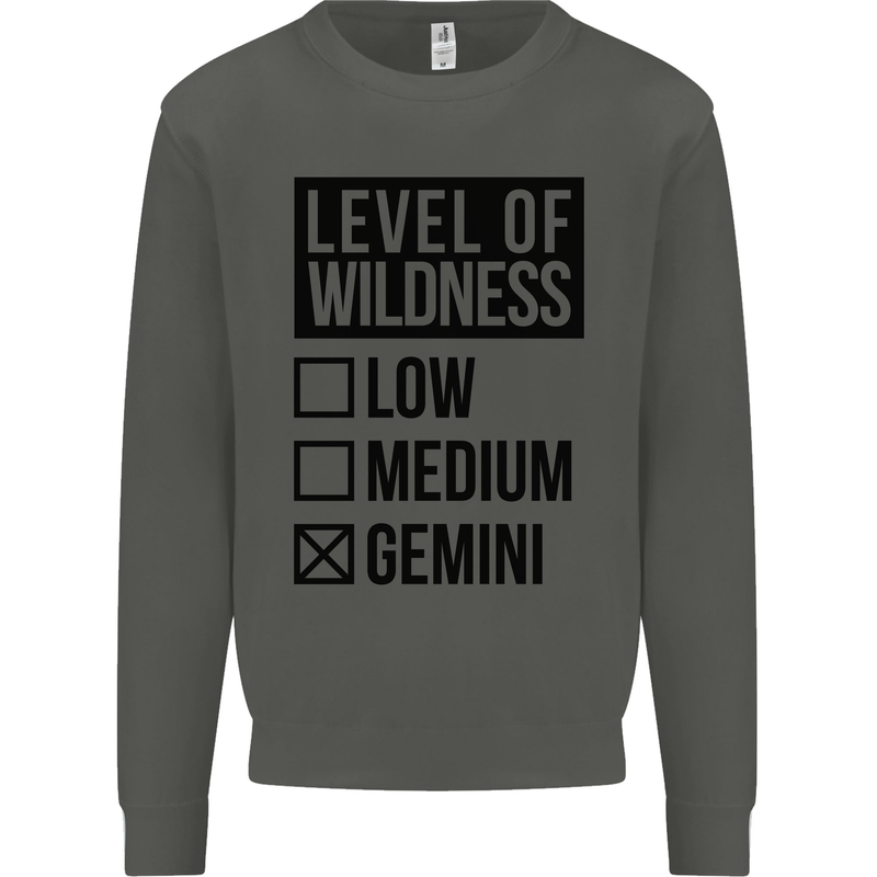 Levels of Wildness Gemini Kids Sweatshirt Jumper Storm Grey