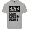 Levels of Wildness Gemini Kids T-Shirt Childrens Sports Grey