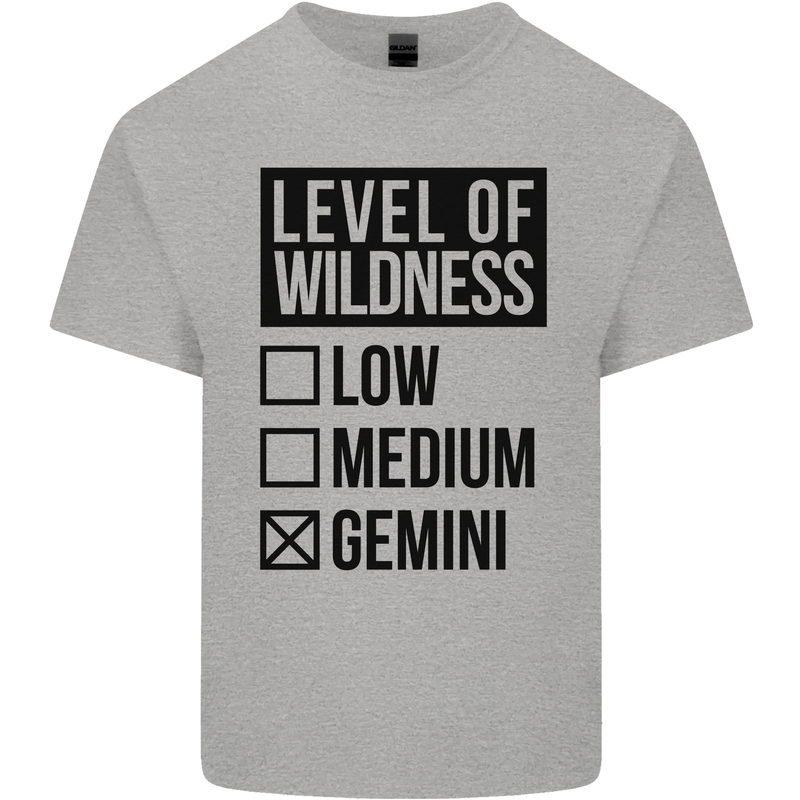 Levels of Wildness Gemini Kids T-Shirt Childrens Sports Grey