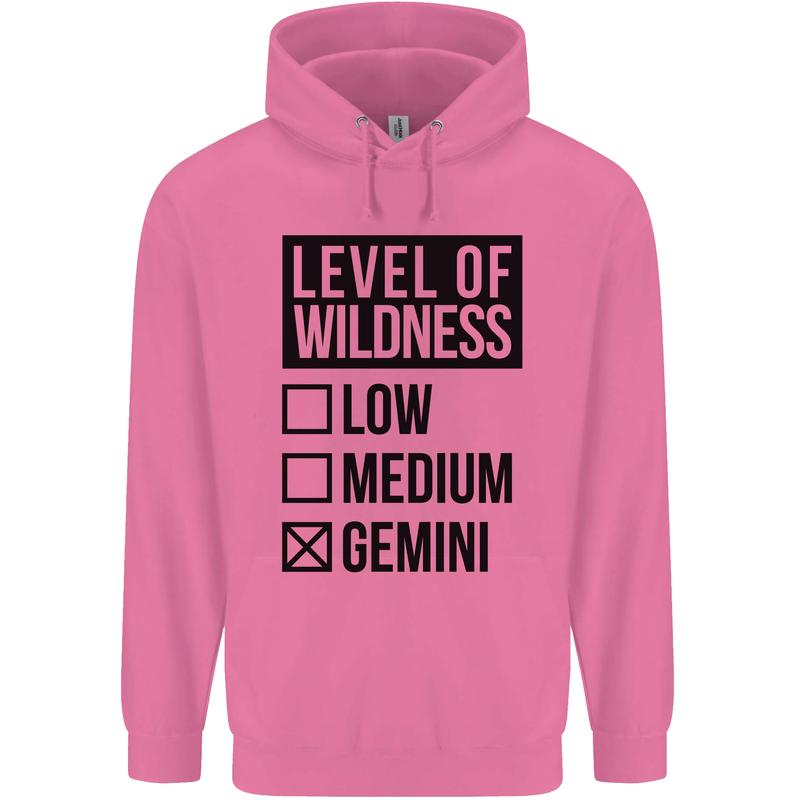 Levels of Wildness Gemini Mens 80% Cotton Hoodie Azelea