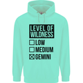 Levels of Wildness Gemini Mens 80% Cotton Hoodie Peppermint
