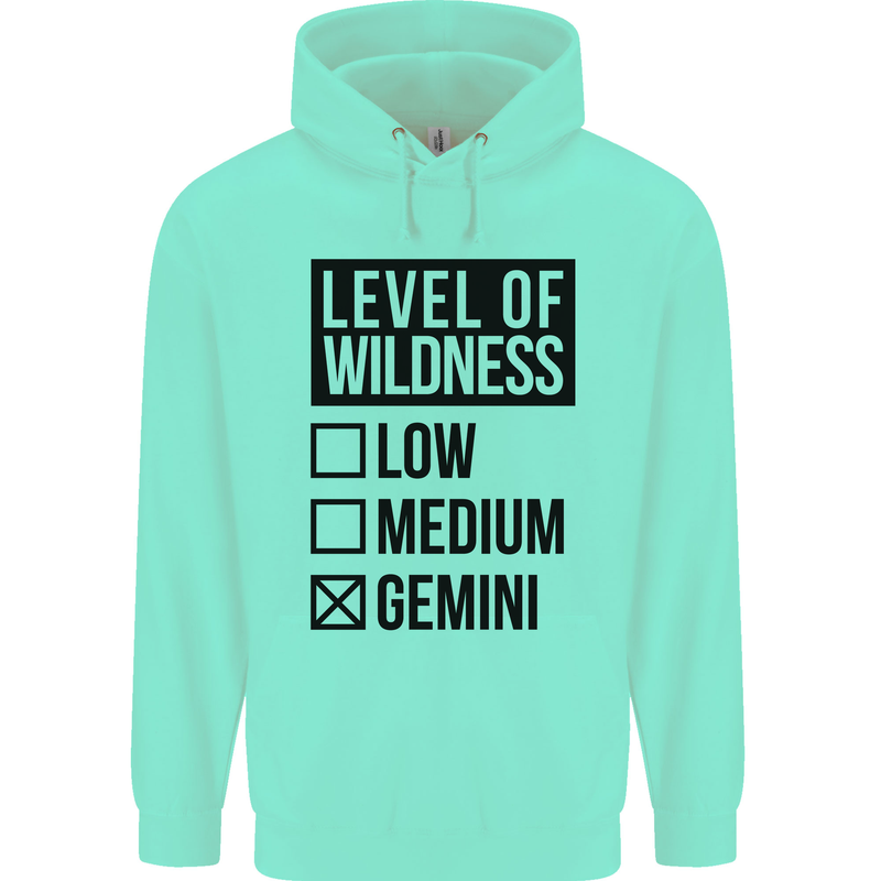 Levels of Wildness Gemini Mens 80% Cotton Hoodie Peppermint