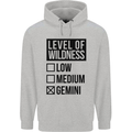 Levels of Wildness Gemini Mens 80% Cotton Hoodie Sports Grey