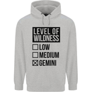 Levels of Wildness Gemini Mens 80% Cotton Hoodie Sports Grey