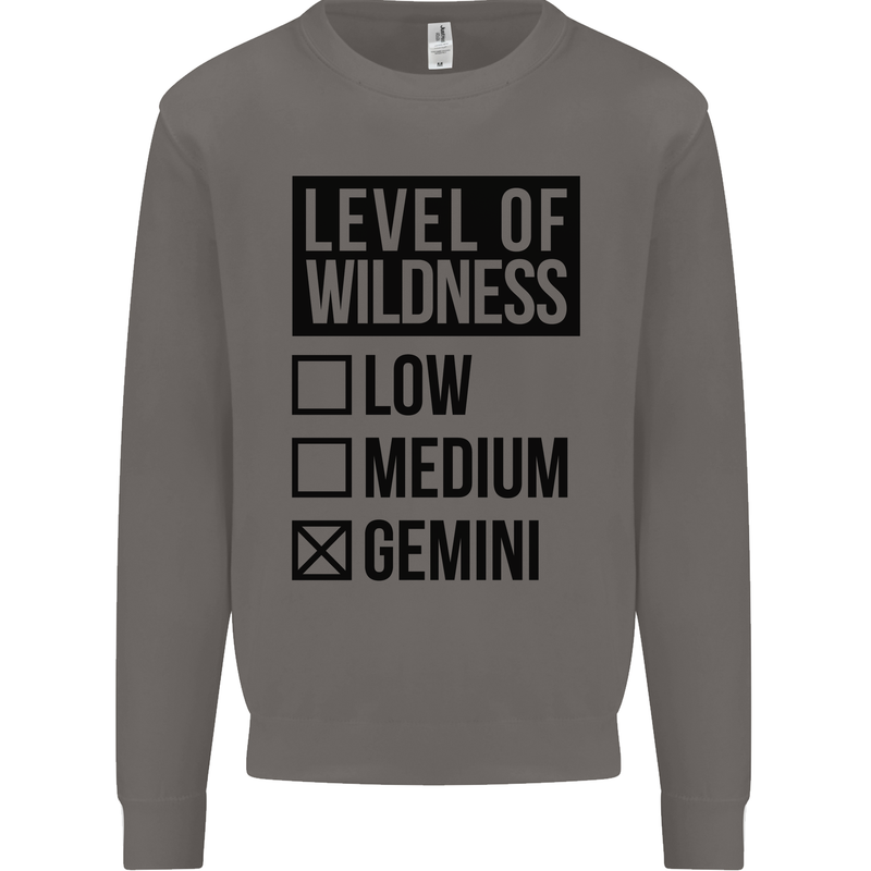 Levels of Wildness Gemini Mens Sweatshirt Jumper Charcoal