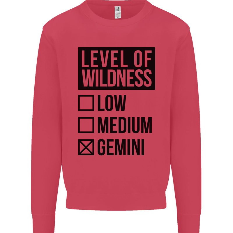 Levels of Wildness Gemini Mens Sweatshirt Jumper Heliconia