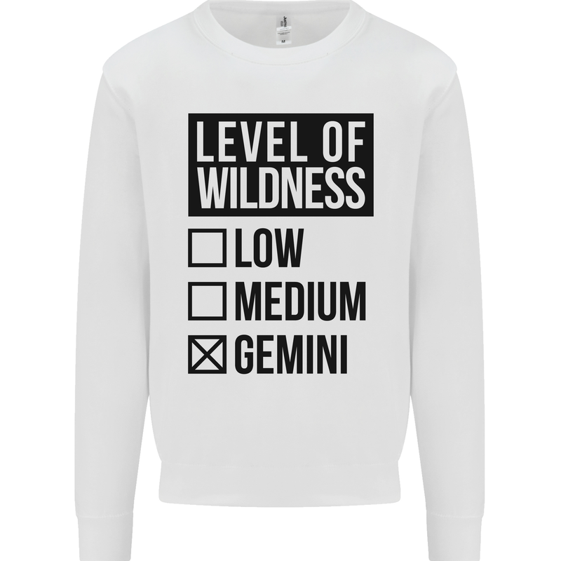 Levels of Wildness Gemini Mens Sweatshirt Jumper White